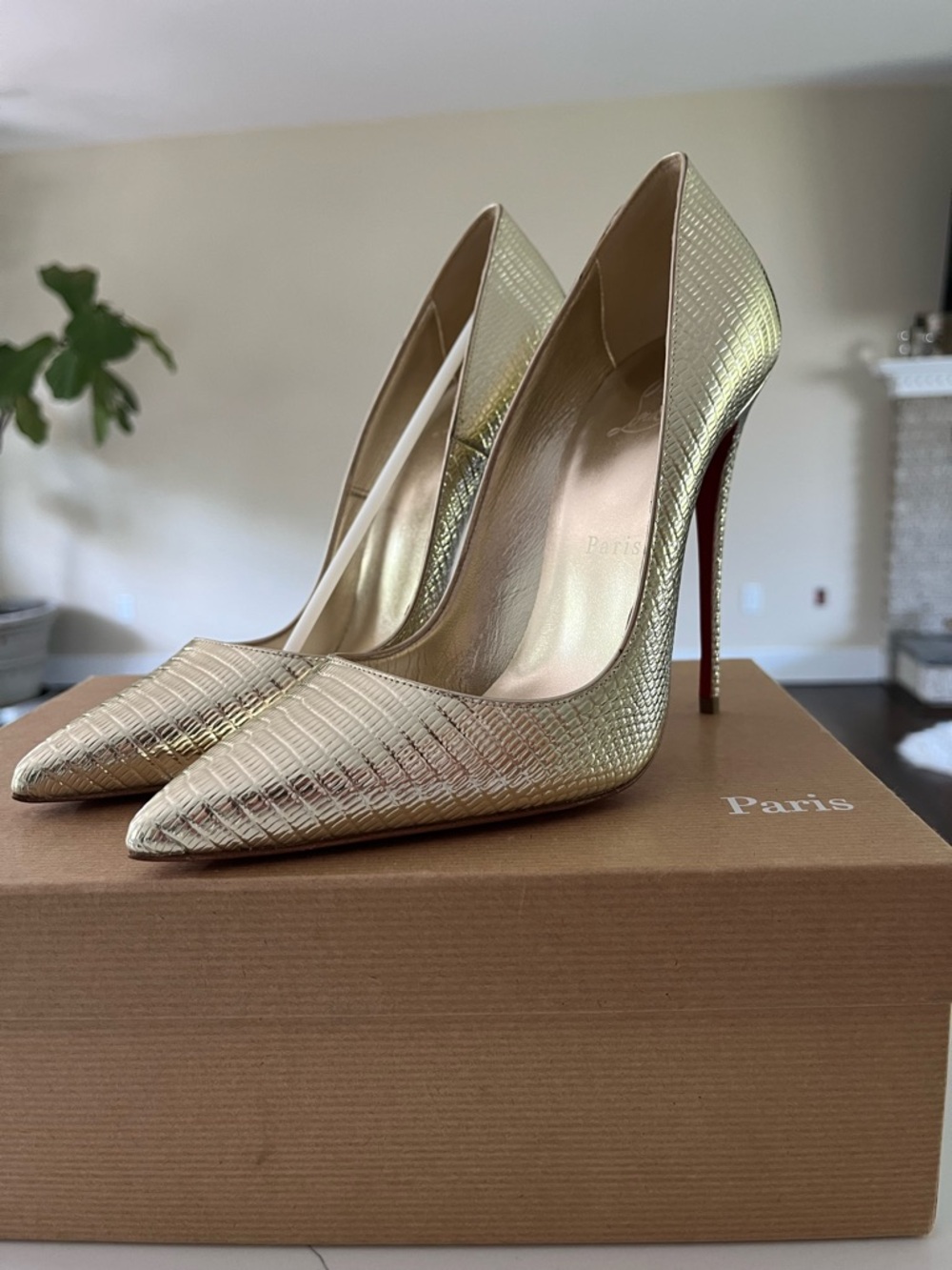 Christian Louboutin So Kate 120